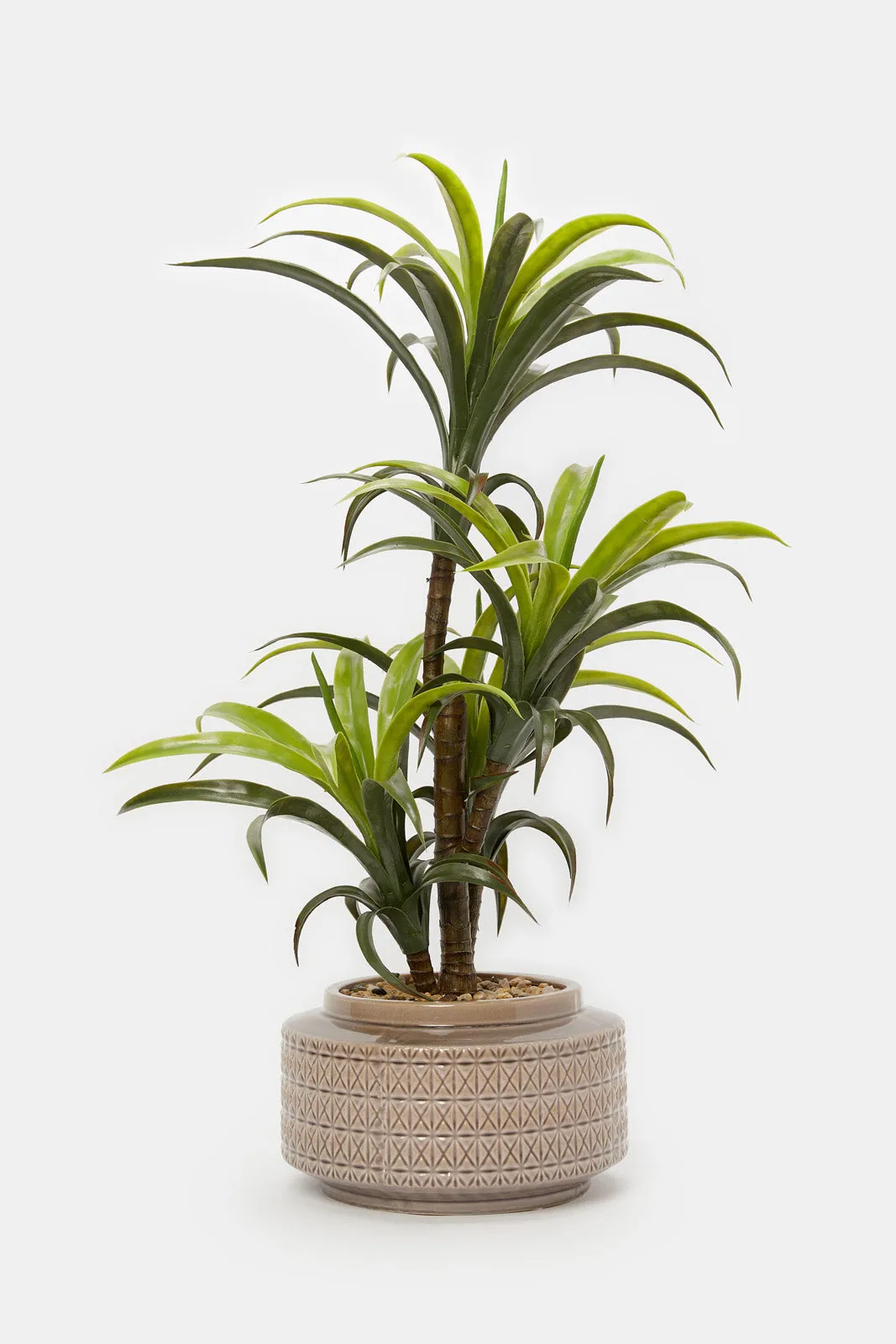 Artificial Plant In Embossed Ceramic Pot (87Cm)