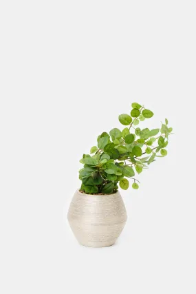 Artificial Plant In Gold Ceramic Pot