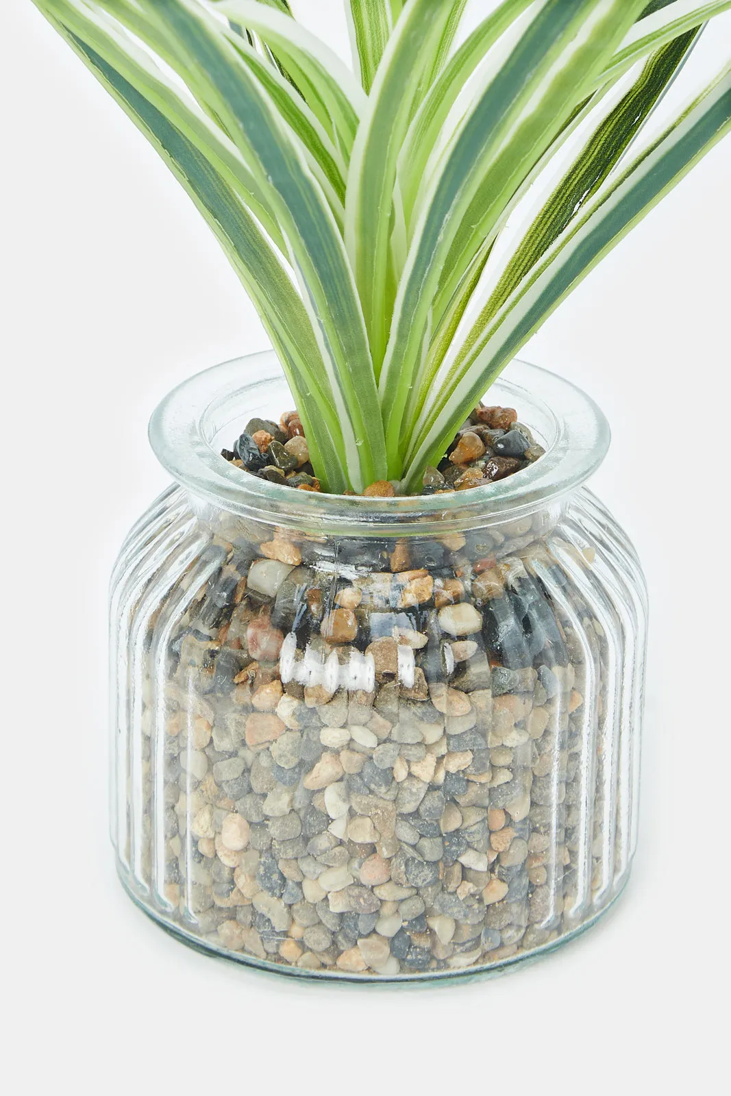 Artificial Suculent Plant With Glass Pot