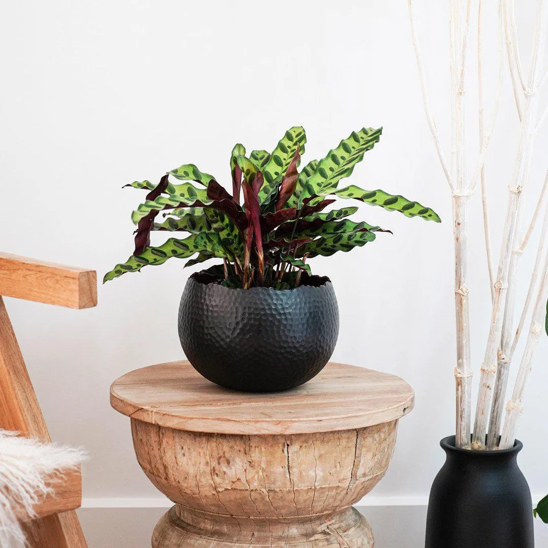 Black Marrakesh Hammered Bowl Planter