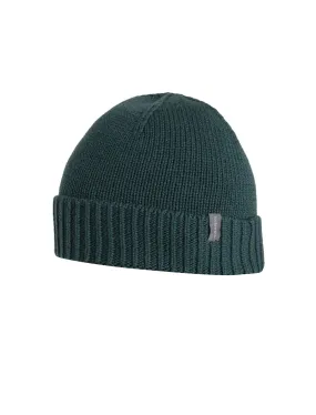 Icebreaker Vela Cuff Beanie (Unisex) Fathom Green