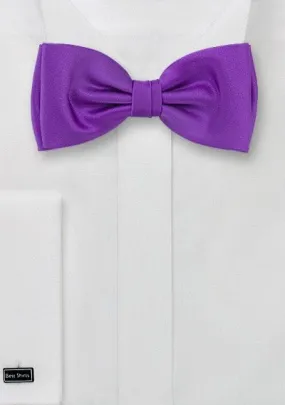 Violet Solid Bowtie