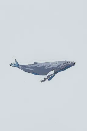 Whale Sticker